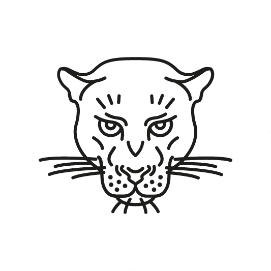 Agence de web design, Logo La Panthère